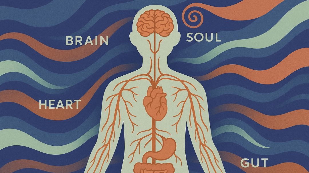 Human body diagram showing holistic health connections between brain, heart, gut, and soul for complete wellbeing.