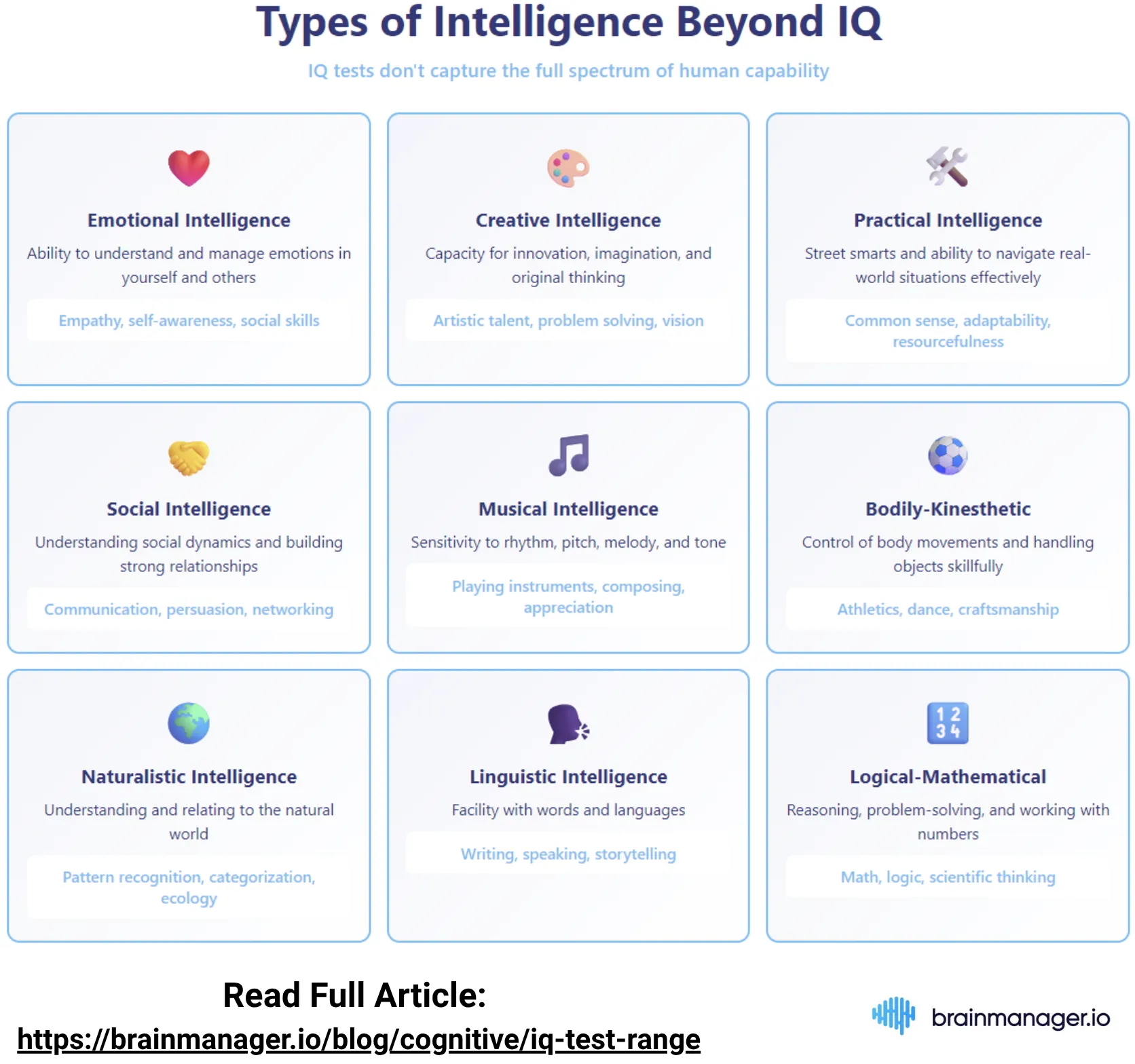 Types of intelligence beyond IQ
